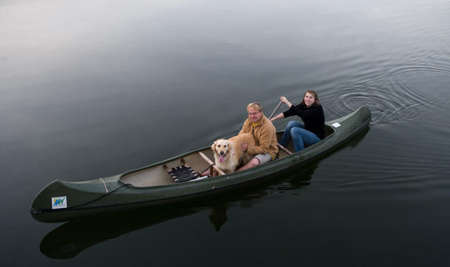 Hund im Kanu