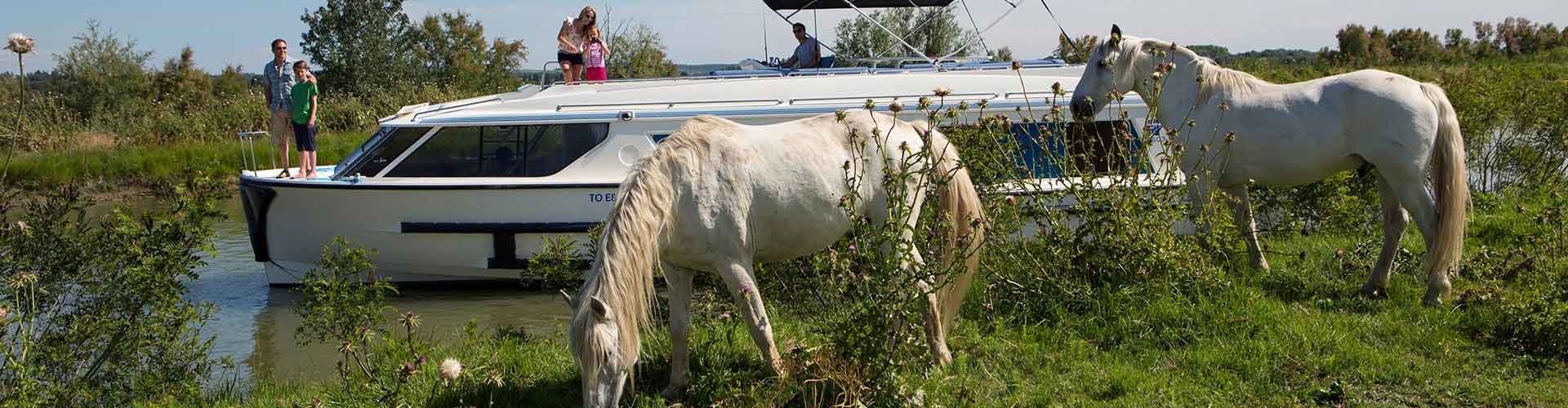 Vacances en bateau pour les amateurs d'équitation